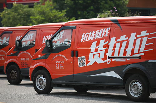 案例②:双子女孩买了双色斑马纹奔驰C级