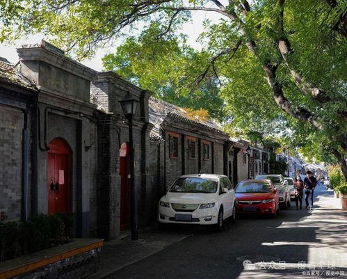 4. 神秘小巷（慎入）