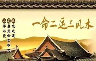 女命八字财官俱备，财统官格，婚姻特点有哪些？