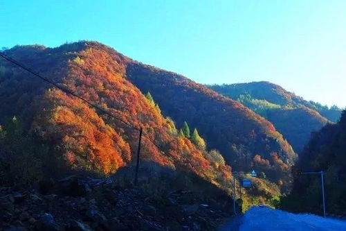 自驾游？别当导航的奴隶！