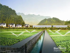 南方的风水先生,南方水田农业有利条件