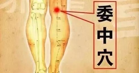 委中穴：膝盖后方的秘密武器