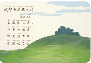 卧槽！路边野草竟是国学顶流？