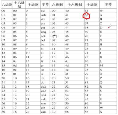 十五十六年对应的生肖是什么？