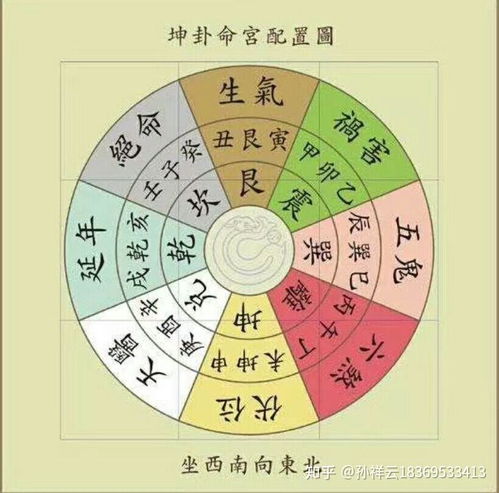 蒋大鸿就是个营销天才