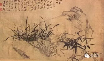关于风水学