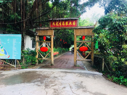 为哪些这么更多人推荐这里？