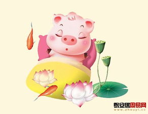 属猪的男孩在辰时出生是否为最佳时辰？