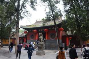 惯与“免费”这件事儿