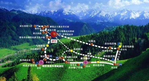 住宿指南：从五星级到