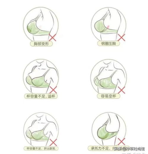 哪个星座的女生胸部普遍较大？