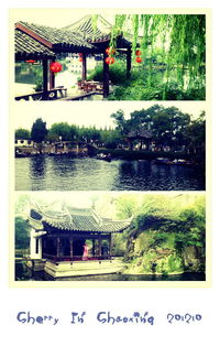 为啥这地方这么火？