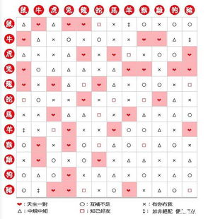 同一天出生男女八字如何进行合婚配对？