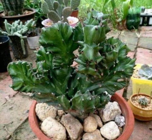 什么叫“财位”？