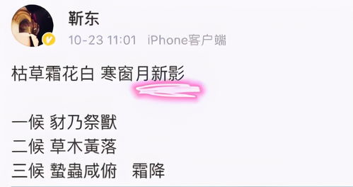 鼠：玻璃心碎成二维码