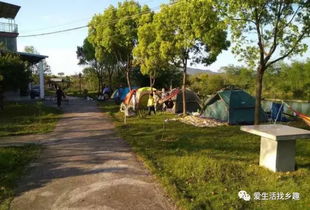 第五站：豌豆农庄——踏青 + 投喂萌宠 + 露营烧烤 🐑🦋🏕️