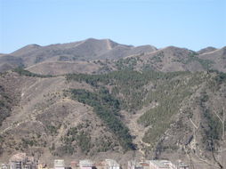 蝴蝶采花风水地,墓地蝴蝶地风水出什么样人