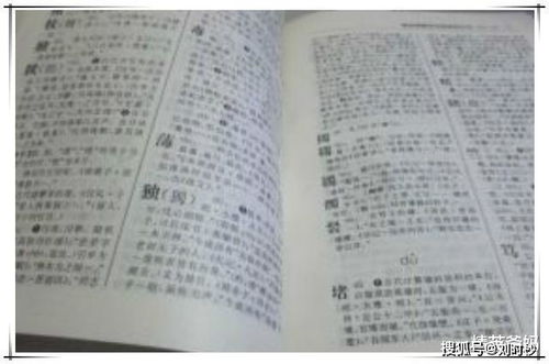 王渝蒙名字的独特含义与文化底蕴背景评估：一场声势浩较大的命名盛宴