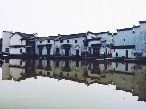 #3 金粟山：登山徒步 + 随时可嫩掉进山沟