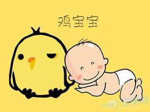 鸡宝宝起名的那一些事儿