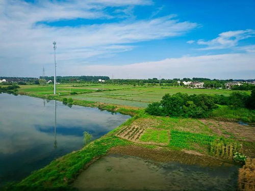 风景对心情的神奇影响