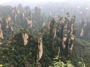 第四部分：第四天 - 天门山的玻璃栈道与大峡谷