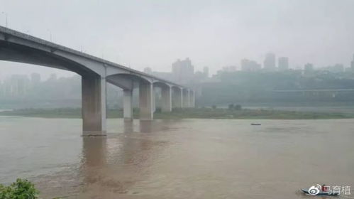 “传说”中的冲浪地点