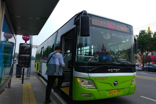 实战案例：一个家庭的冰城奇遇记（真实又戏剧化）