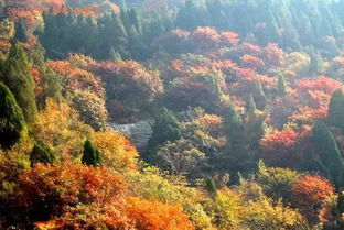旅游攻略，畅游卧牛山
