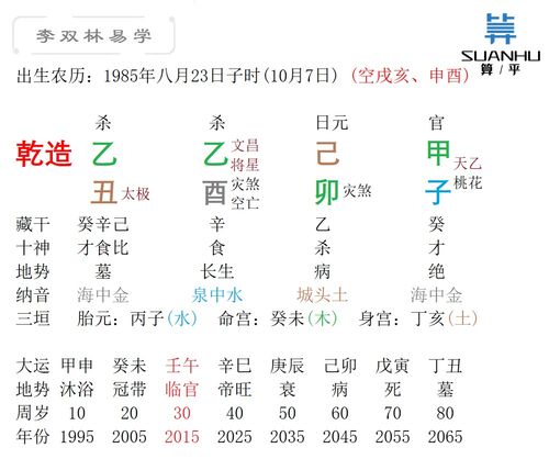 李双林讲八字命理学,李双林论从格八字