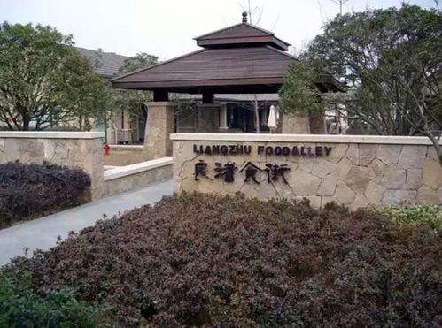 上海：魔都让我魔怔了！