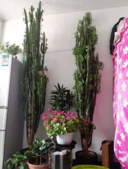 六、定制化建议——为每一种灵魂配对最佳日期！(随手写)