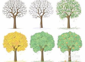 五行八卦：榆钱树和风水不得不说的秘密