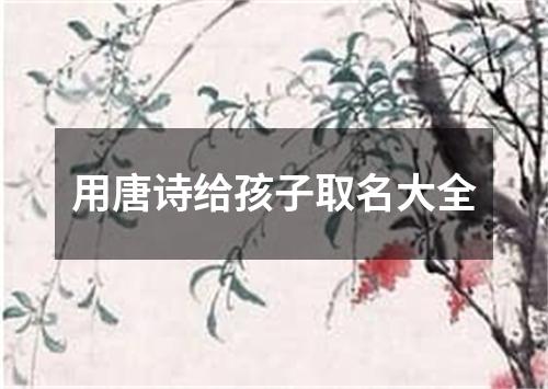 绝美的唐诗名字，有没有什么特别的推荐？