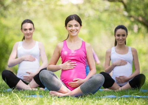 3. 舒展呼吸法 (Yoga Breathing)