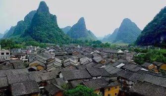 赏秋时间：精准踩雷指南