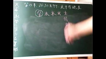 八字教学视频里都包含哪些具体内容？