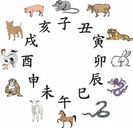 我出生的年份属于哪个生肖年？生肖年具体指什么？