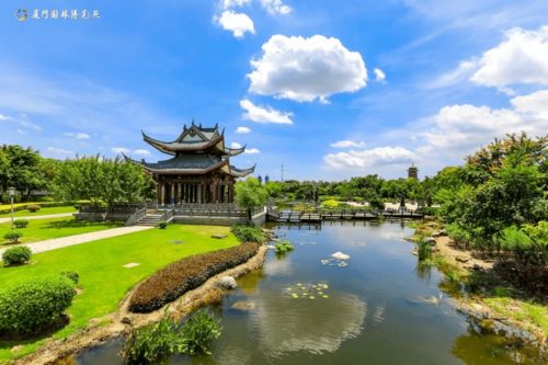 乘坐观光火车， 环游全园区