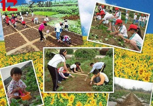 深入农耕文化岛的沉浸体验