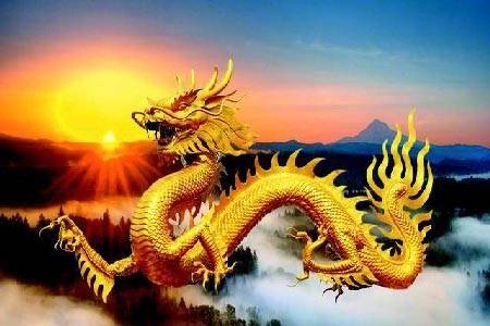属龙今年下半年运势不佳，这一年整体运势如何？