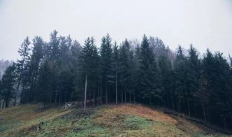 惠州中式园林风水大师,惠州中式园林风水大师是谁