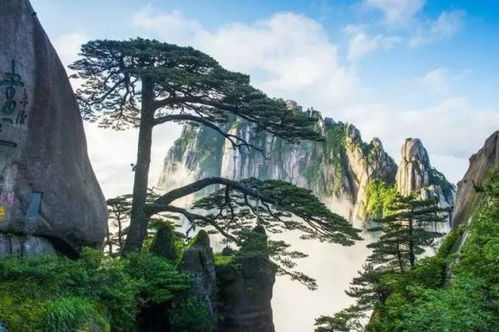前山——迎客松与玉屏楼（永恒老友）