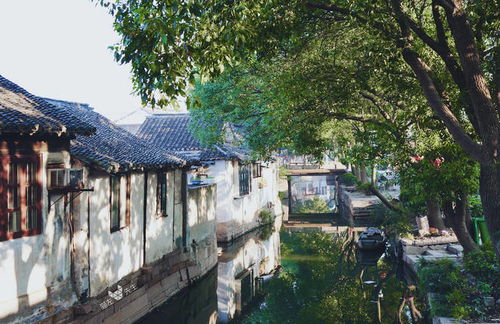 一、拙政园里的那些奇奇怪怪的建筑和隔壁的大楼