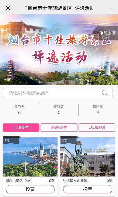 对比不同平台的优缺点
