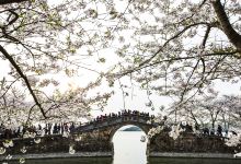 六、不止是个公园，它还是文化底蕴聚集地📚🎭🎶🌸🌍🐇🛶🚴‍♂️🎉✨💦🧀🤗💤🙌🤩😜🥳🤝🎈🪁🚗🚕🏖️🏞️🏜️🏕️🛶👀👣⚽🏀⛳🥅🏑🎾🧗‍♀️⛷️🏊‍♂️🚴‍♀️🌈🌊🍦🍦🍦☕☕☕😂😂😂🐶🐱🐭🐰🐻🐼🦁🐮🐸🐵🙈🙉🙊💃🕺💪😉😍👏🥂💌😘👍👏😎💯🔥⚡✌️✏️📚🔍🖊️📷☎️💬🔑🔒🔓🔑🔐😊🌸🌺🌻🌿🌳🍃🌲🌴☘️🍂❄️☀️⭐︎🔥☁︎雨滴滴滴滴滴滴噢噢噢!
