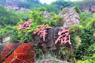 春日的絮语：花开堪折直须折