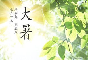 大暑源于古人观测夏至后第三个庚日盛夏酷热，避暑习俗盛行。
