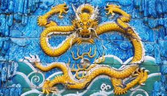 五行命理大解析(信则有!)