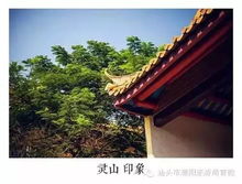 哎哟喂！你敢信吗？那个只在周六开门的老破庙子到底藏着啥秘密啊？！